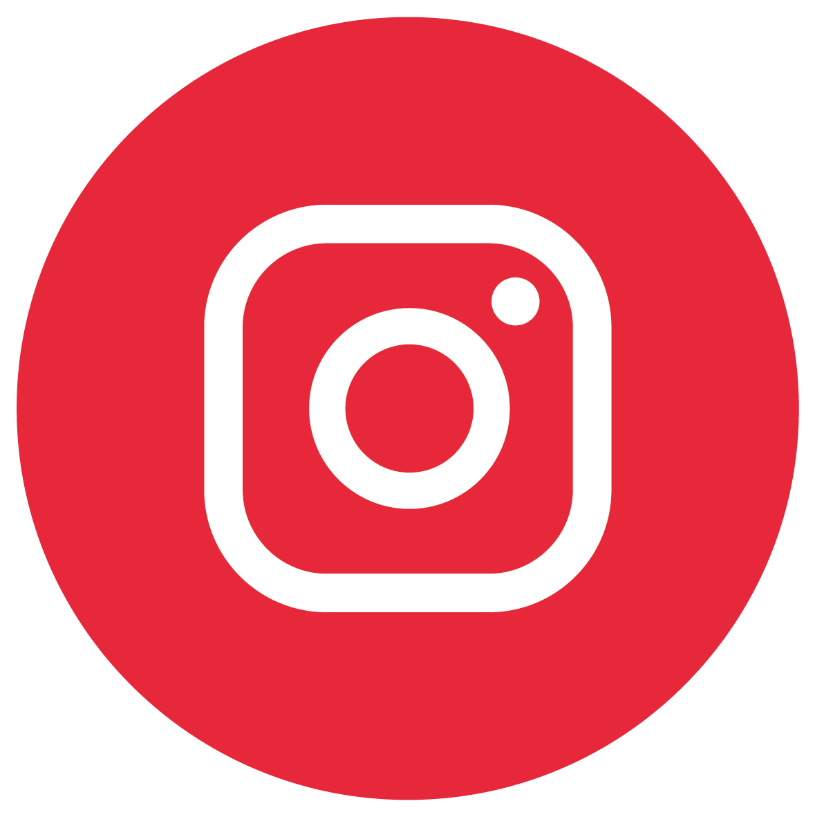 Instagram Icon