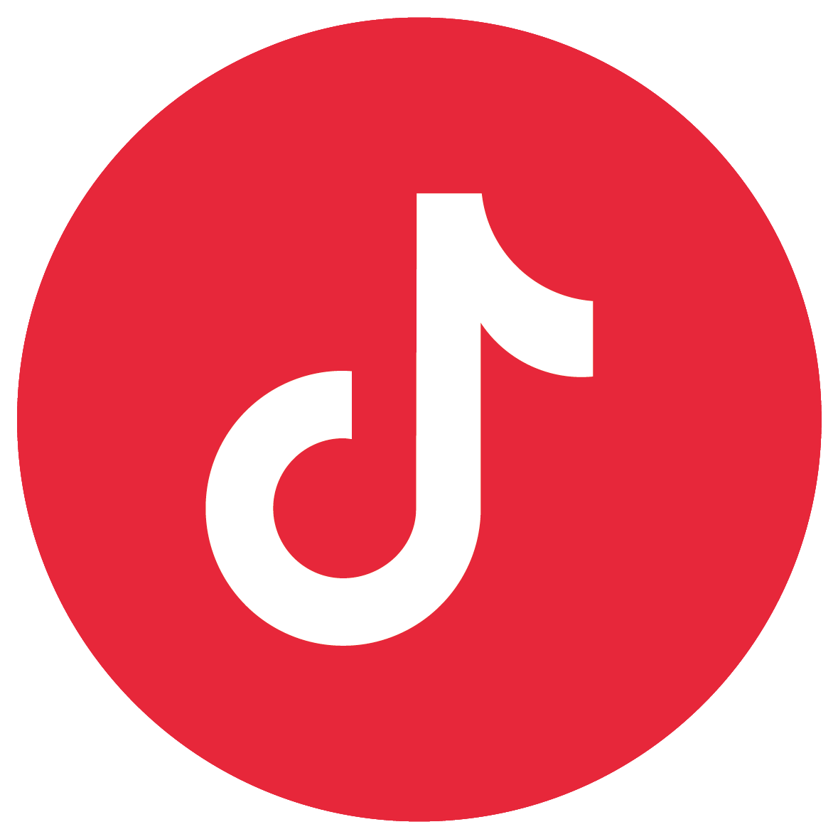 TikTok Icon